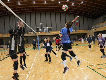 HAO（東京＆埼玉）