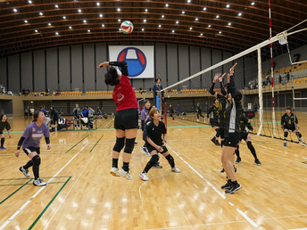 HAO（東京＆埼玉）