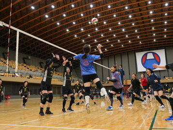 HAO（東京＆埼玉）