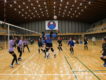 HAO（東京＆埼玉）