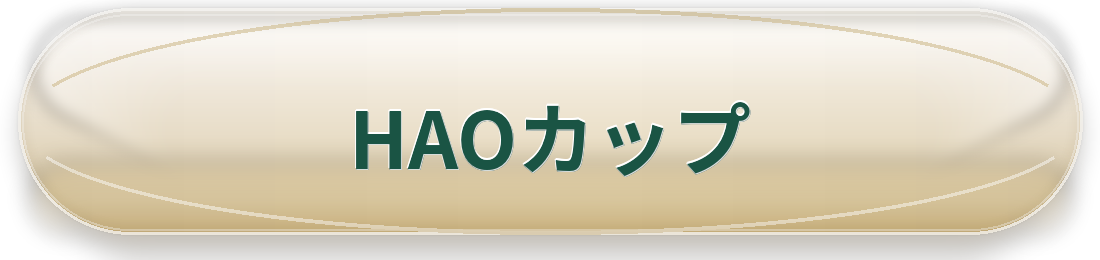 HAOはバレーボールを応援しています