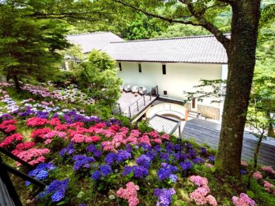 テラスからの眺め